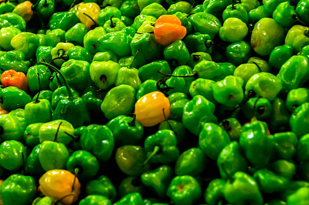 Peppers