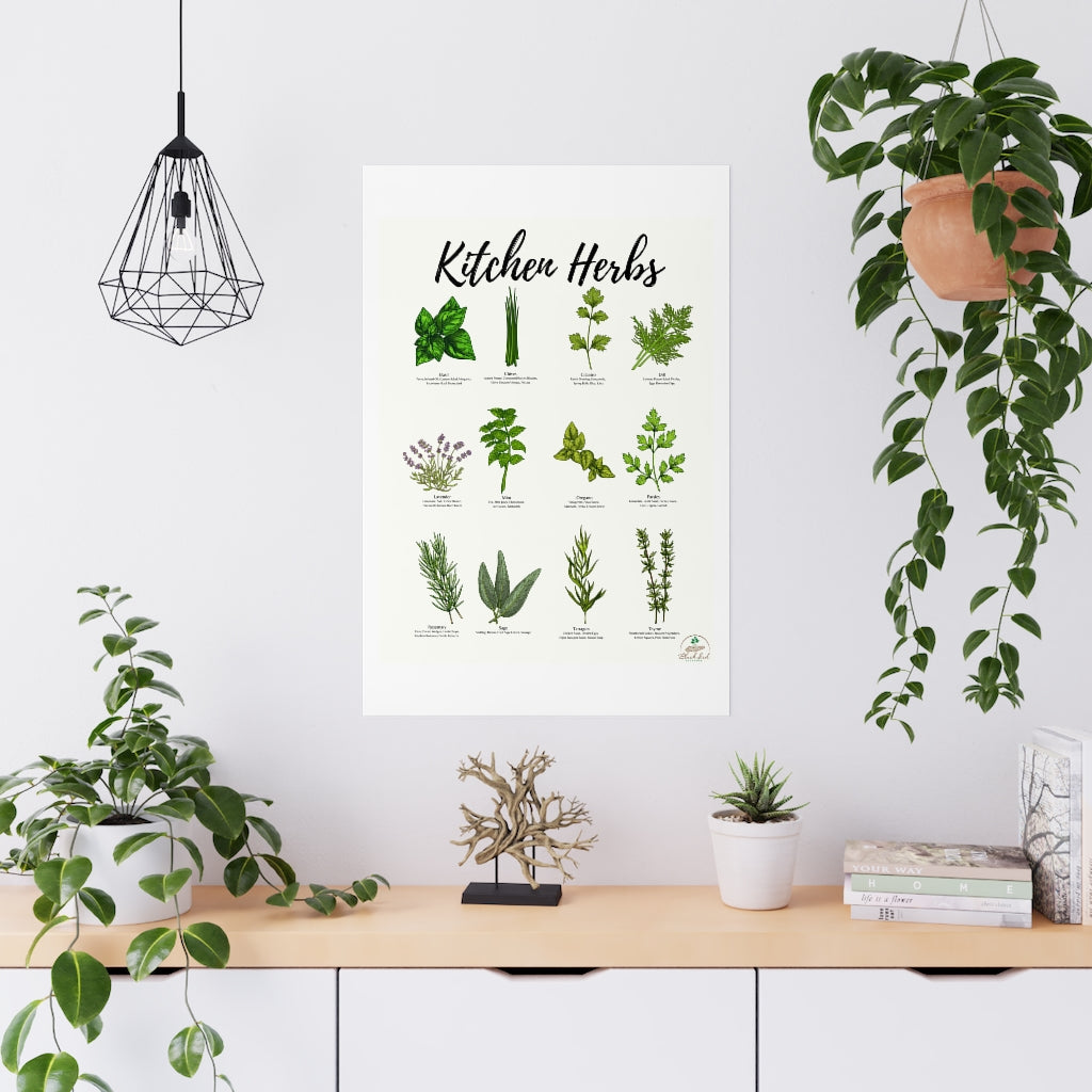 Kitchen Herbs Premium Matte Posters