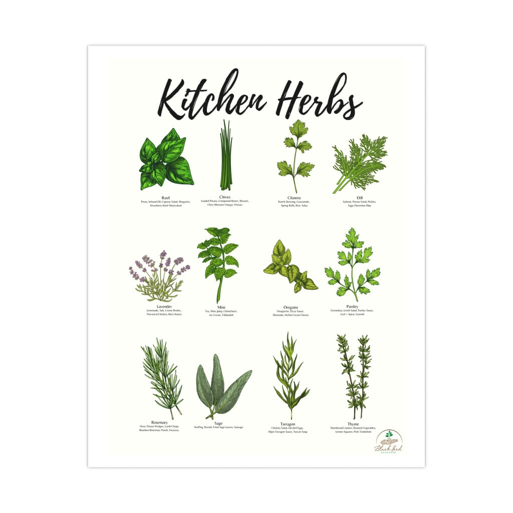Kitchen Herbs Premium Matte Posters